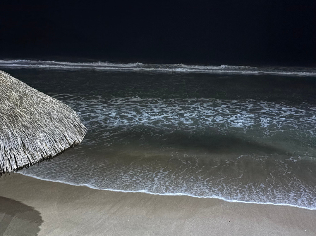 Agencia de Viajes Travel Oly-奇瓦瓦州必去景点