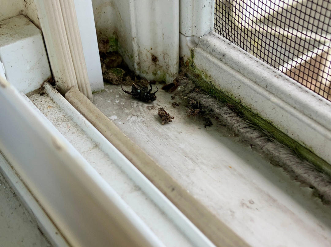 Voco Saranac Lake Ny - Waterfront By Ihg主图