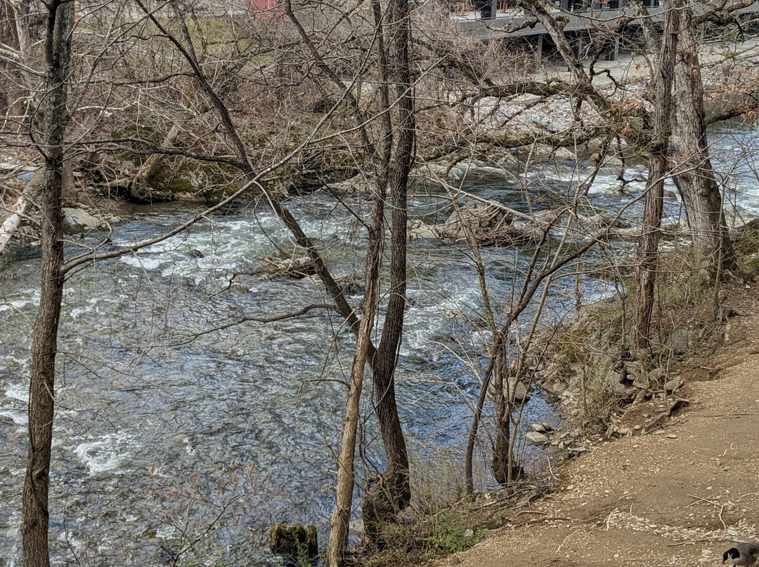 Cherokee Indian Reservation-切罗基必去景点