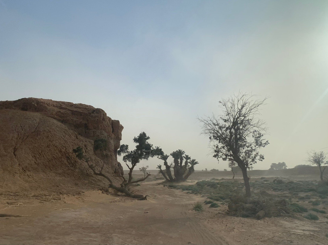 Sahara Bedouins-迈哈米德必去景点