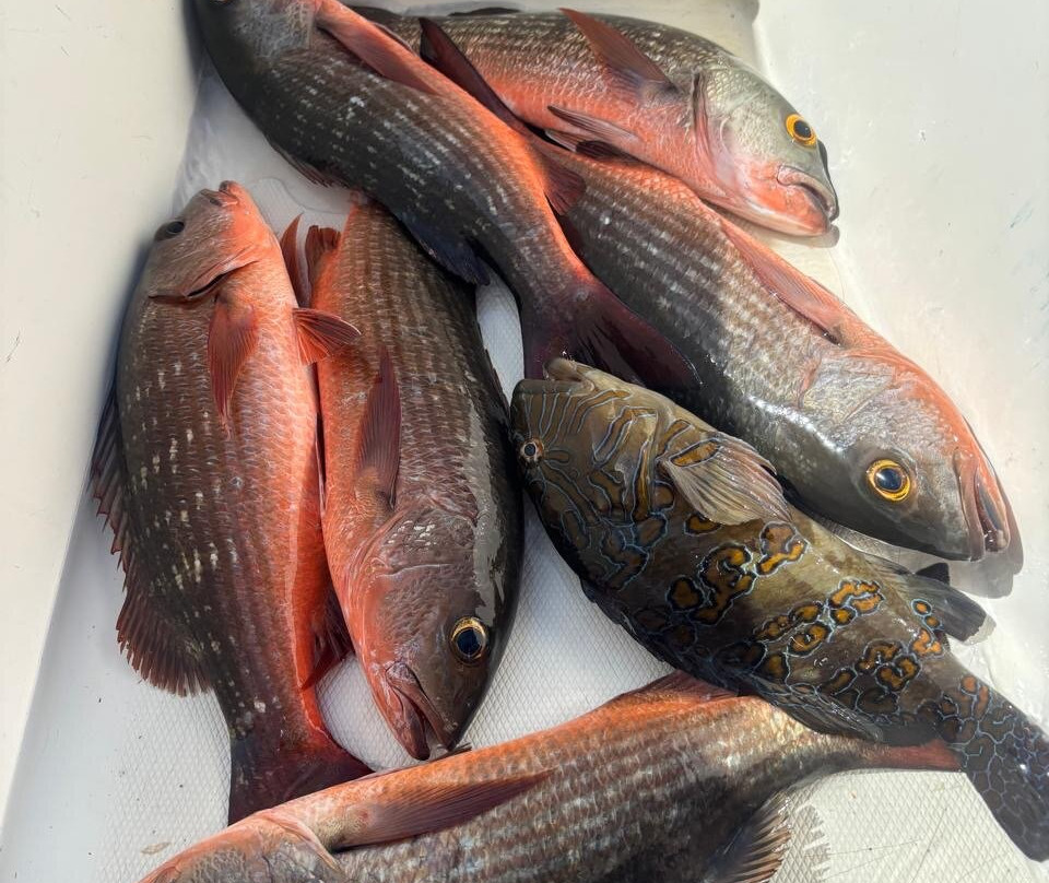 Costa Rica Sport Fishing Adventures-彭塔雷纳斯必去景点