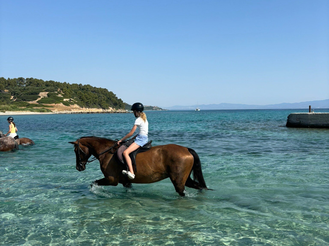 Horse-Ranch Manippos Halkidiki-Kassandra必去景点