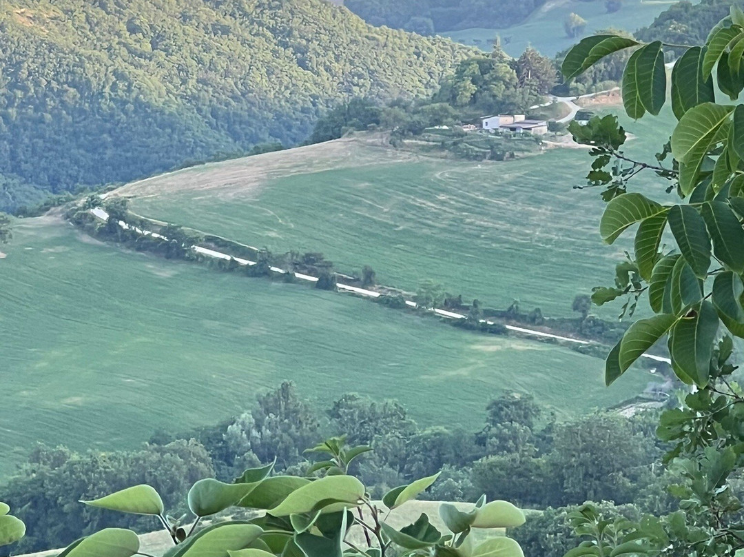 Agriturismo Calamello主图