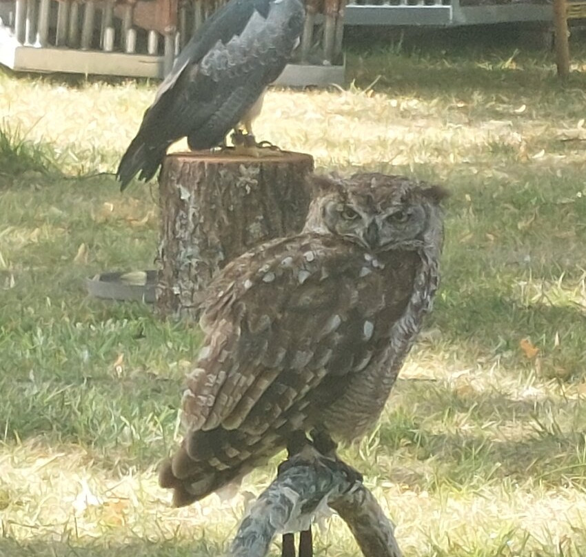 Château de Duras-Duras必去景点