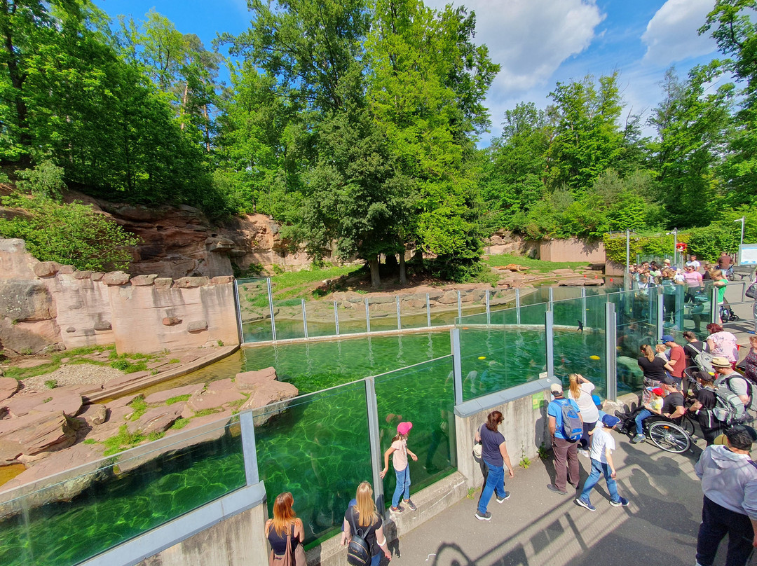 Tiergarten Nuernberg-纽伦堡必去景点