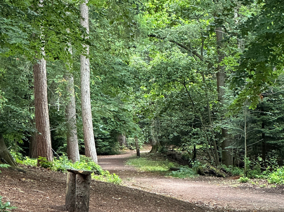 Comer Woods-Bridgnorth必去景点