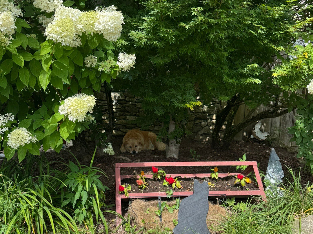 Apple Hill Farm-Banner Elk必去景点