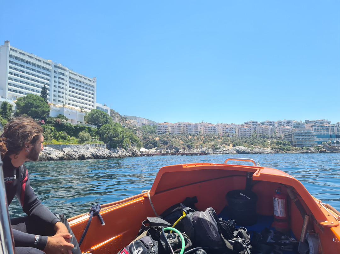 Diver Bees Dive Center-库萨达斯必去景点