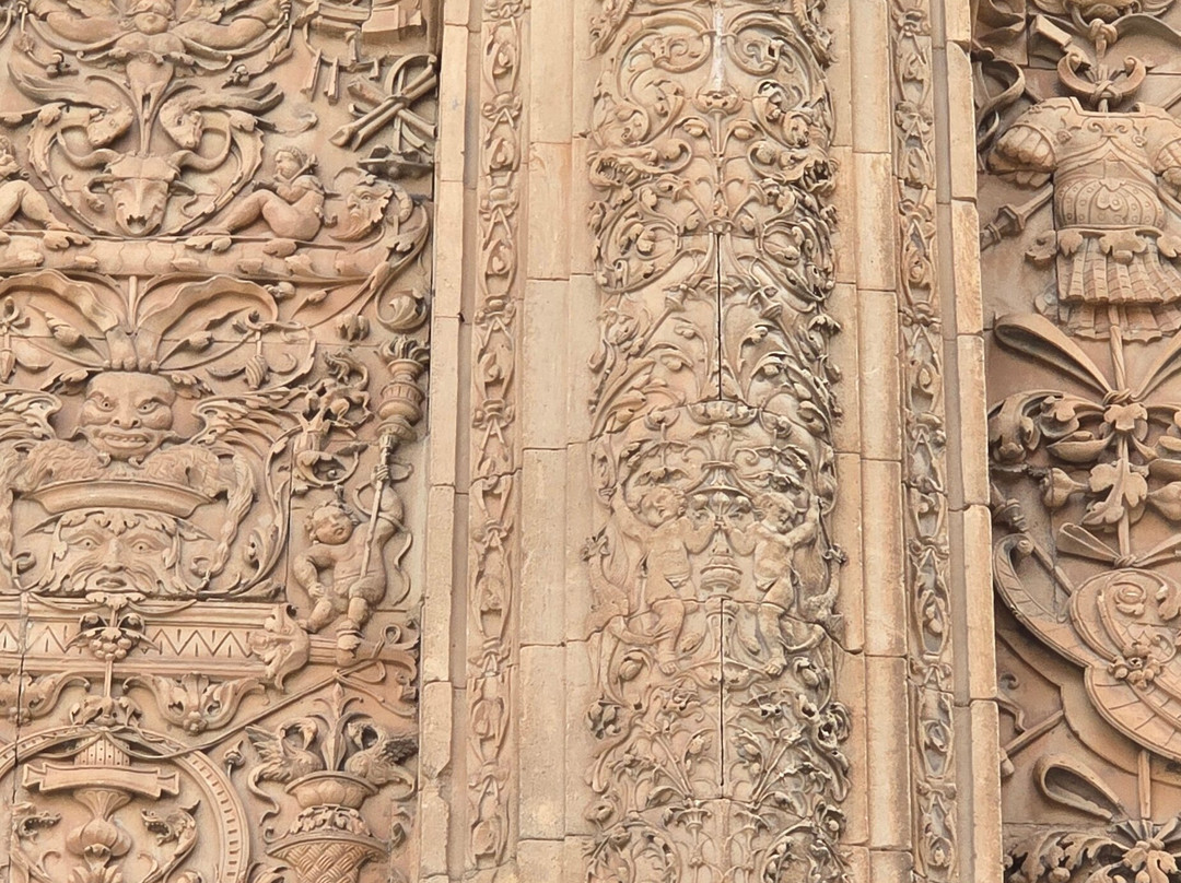 La Rana de Salamanca-萨拉曼卡必去景点