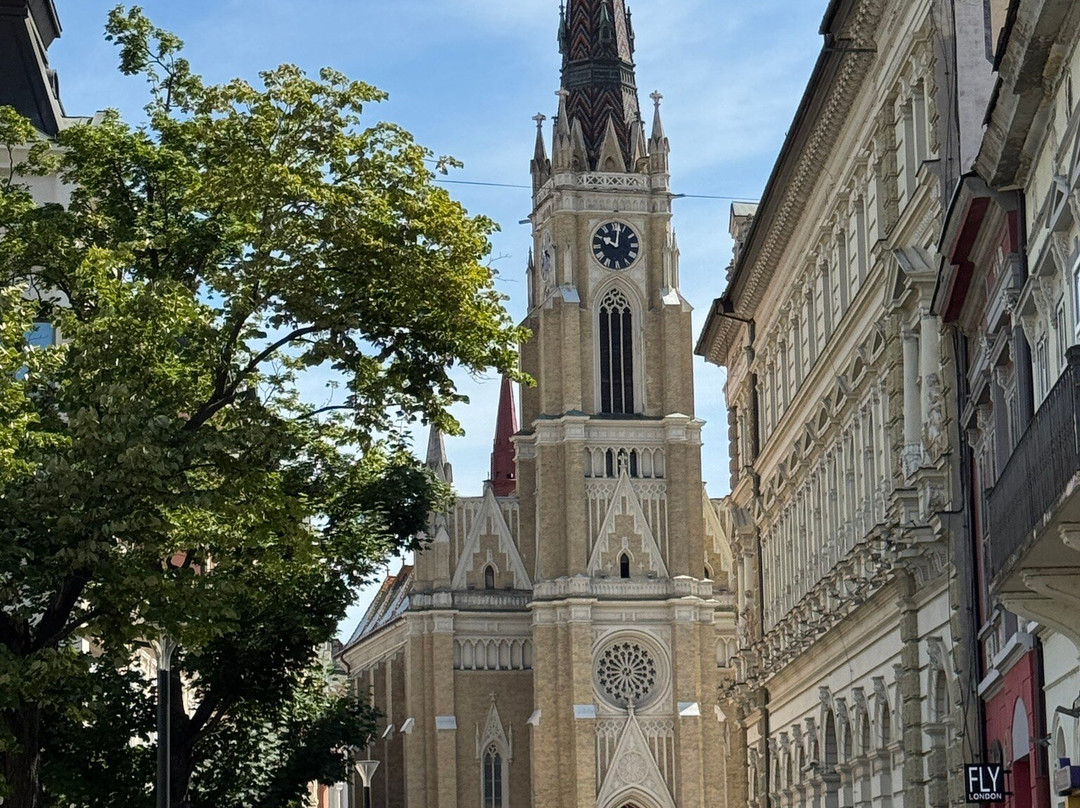 Svetozar Miletic Square-诺维萨德必去景点