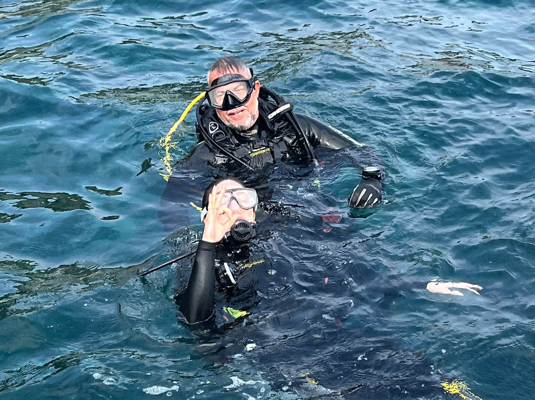 Master Dive Escola de Mergulho-阿拉伊阿尔港必去景点