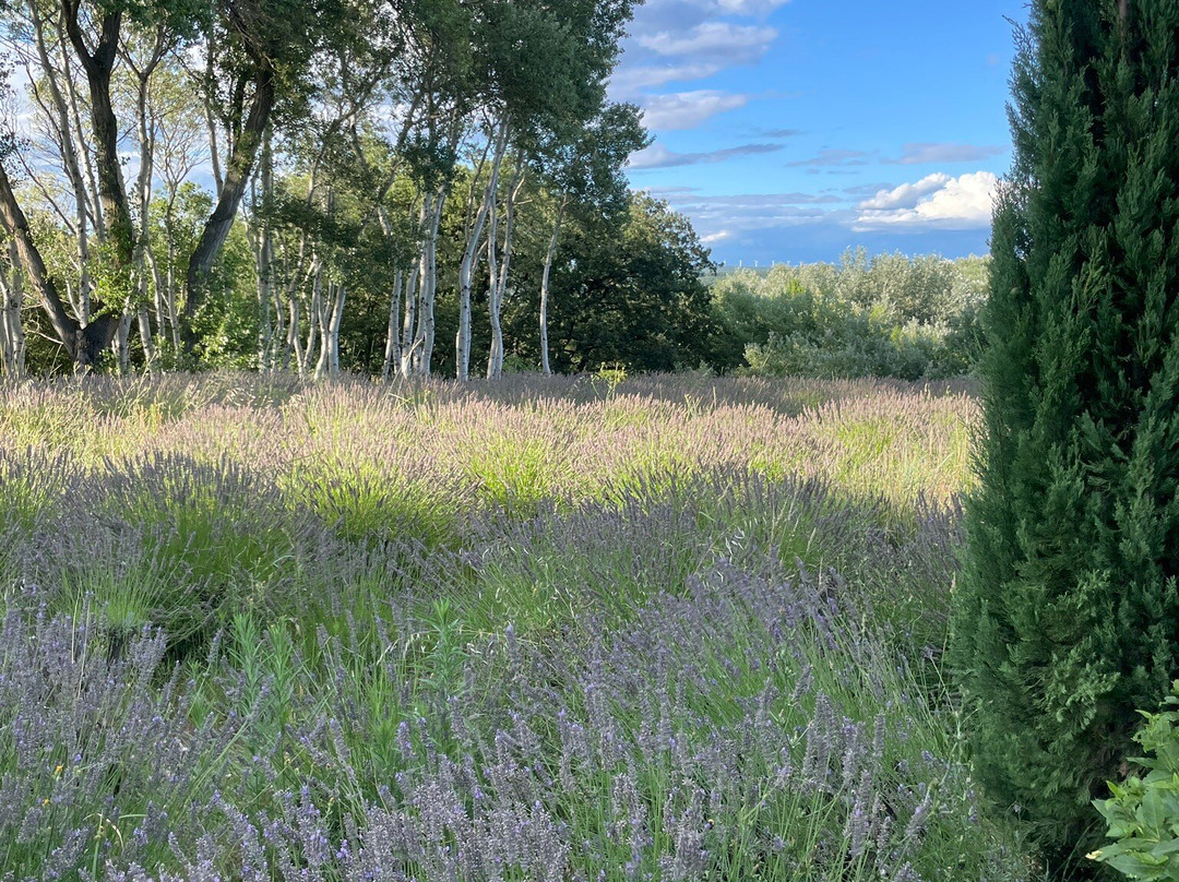 达姆斯博伊斯地区酒店主图