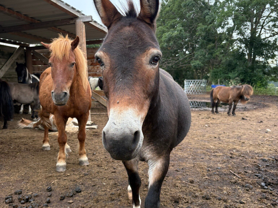 La Ferme du Rialet-La Llagonne必去景点