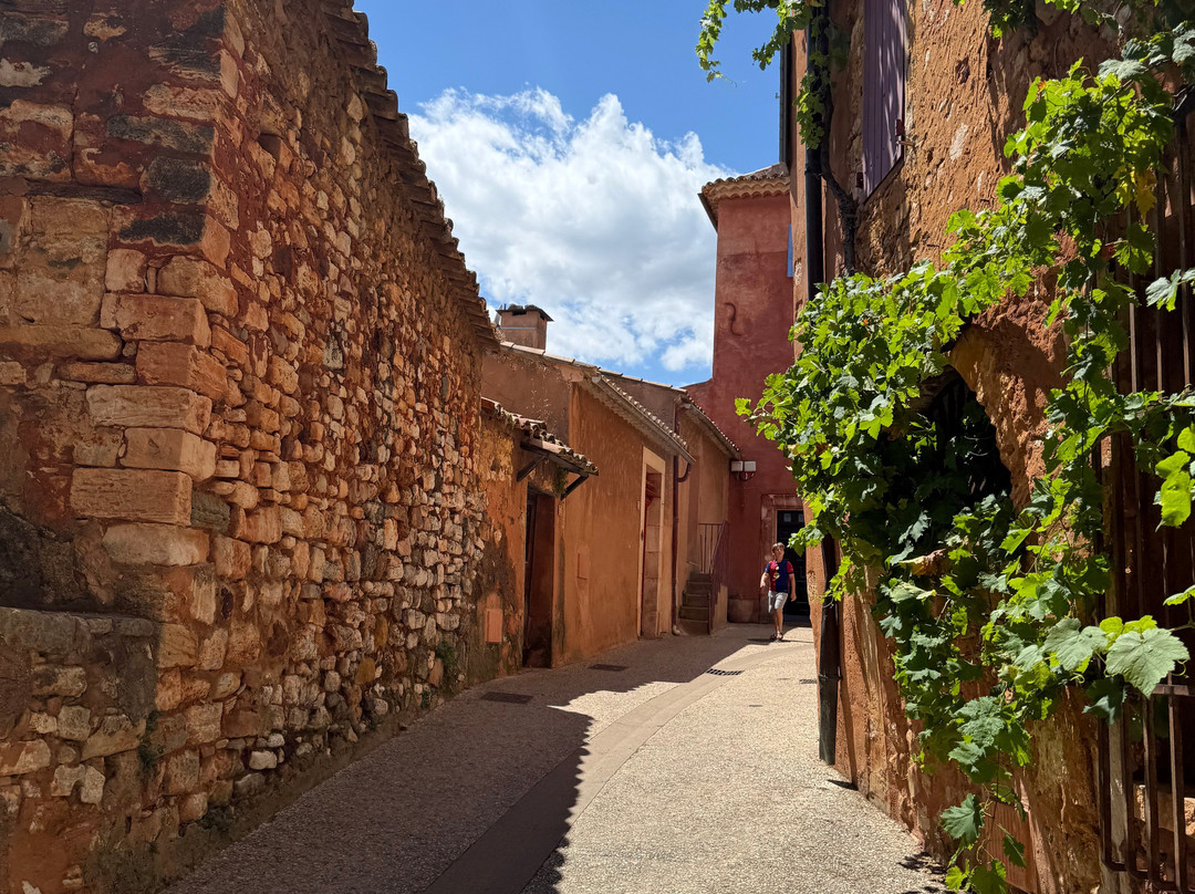 Epicurean Provence Tour (Provence, Luberon, Alpilles)-圣雷米必去景点