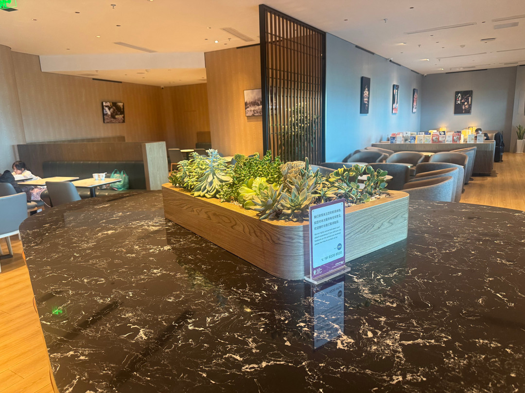 Plaza Premium Lounge (Departures, Landside, Terminal T3A)