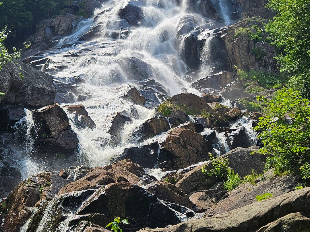 Parc naturel régional de Portneuf-Saint-Alban必去景点