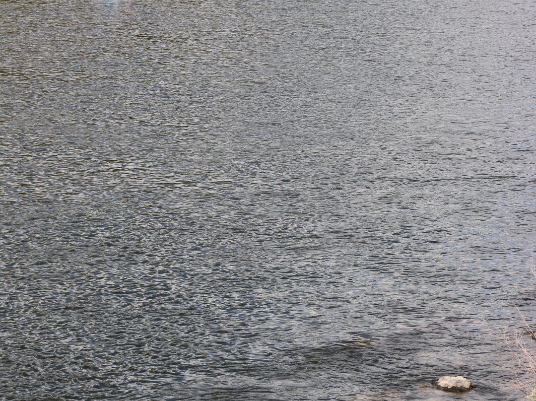 Lakota River Guides-Avon必去景点