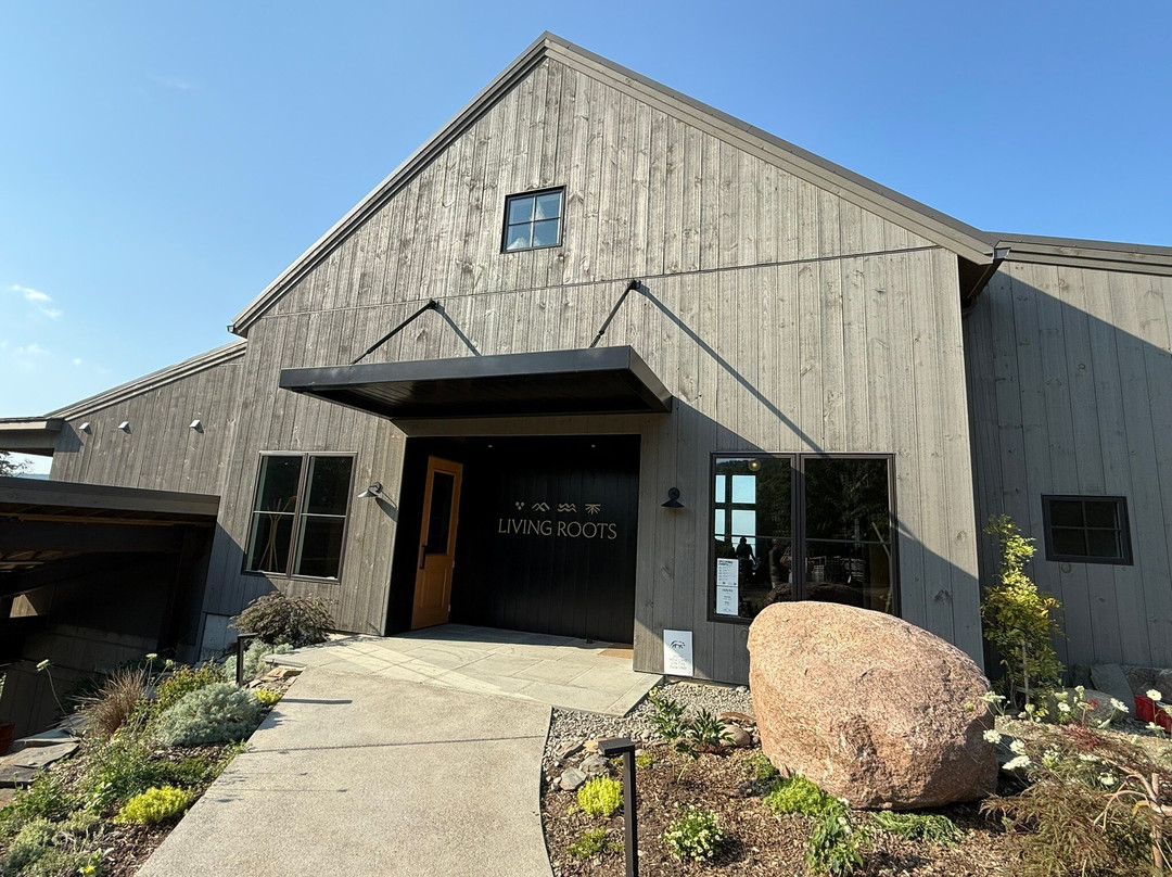 Living Roots Finger Lakes-Hammondsport必去景点