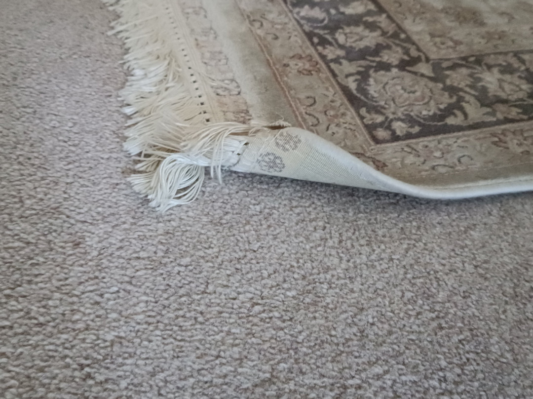 Rock Moor House B&B主图