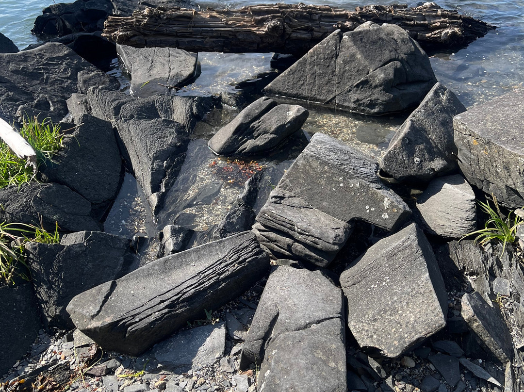 Petroglyph Beach State Historic Site-Wrangell必去景点