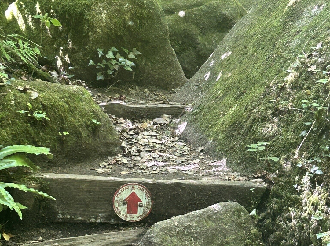 Becky Falls-Manaton必去景点