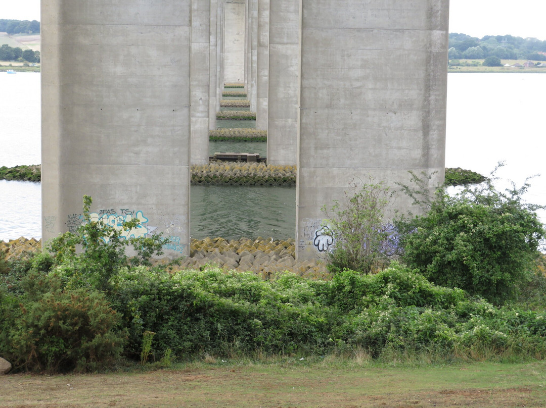 Orwell Country Park-伊普斯威奇必去景点