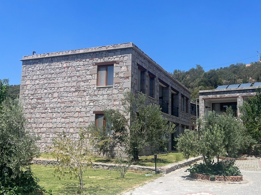 Assos Hestia Otel主图