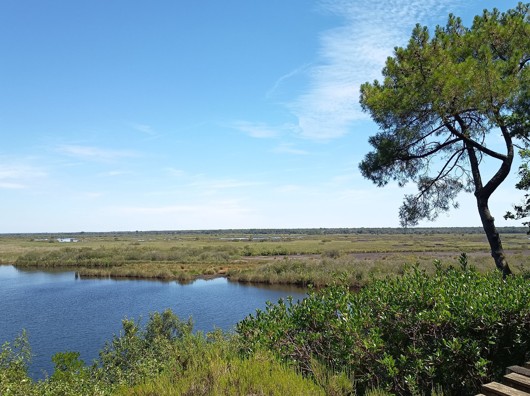 Réserve Naturelle De l'Etang De Cousseau-Lacanau-Ocean必去景点