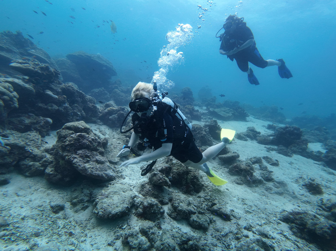 仙本那马布岛潜水度假村主图