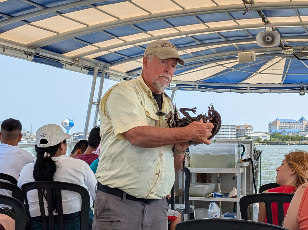 Assateague Adventure-大洋城必去景点