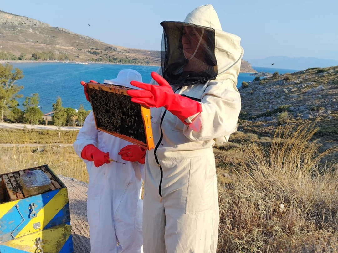 So! Bee-纳夫普利翁必去景点