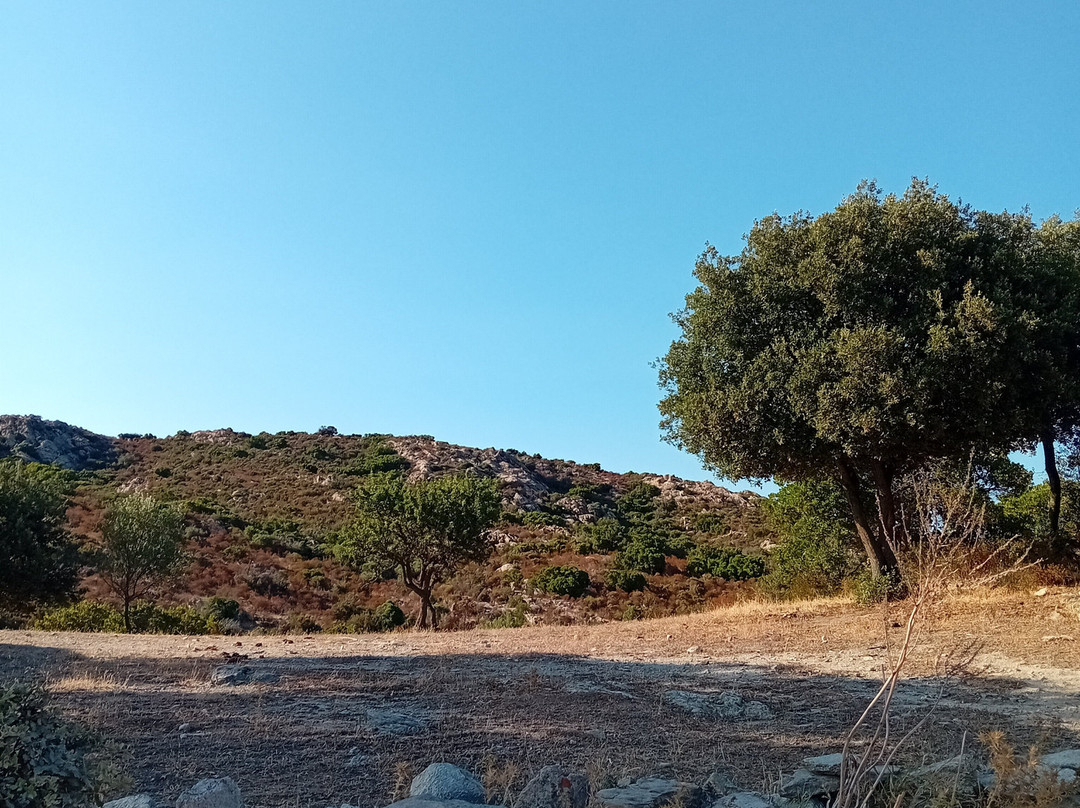 Nebbiu Aventura-Santo-Pietro-di-Tenda必去景点