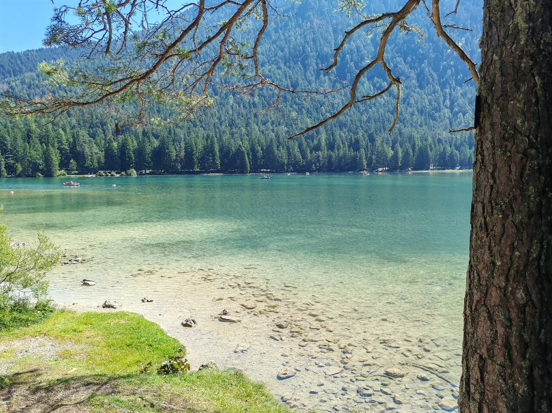 Lago di Dobbiaco-多比亚科必去景点