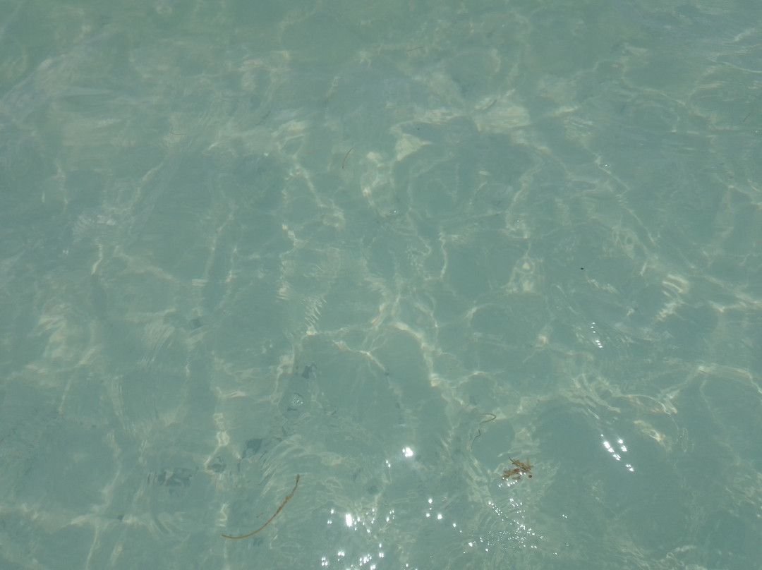 Orient Bay Beach-东方湾必去景点