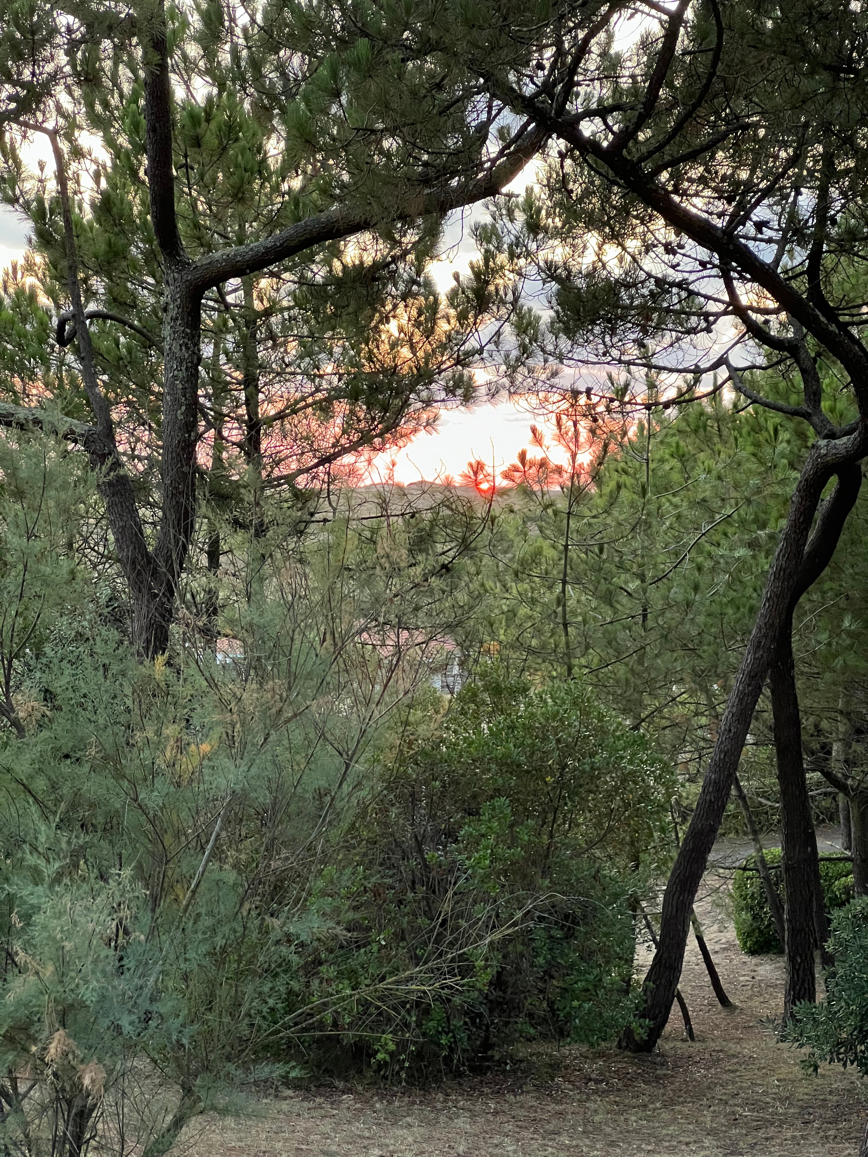 Belambra Clubs - Les Vignes-浴室