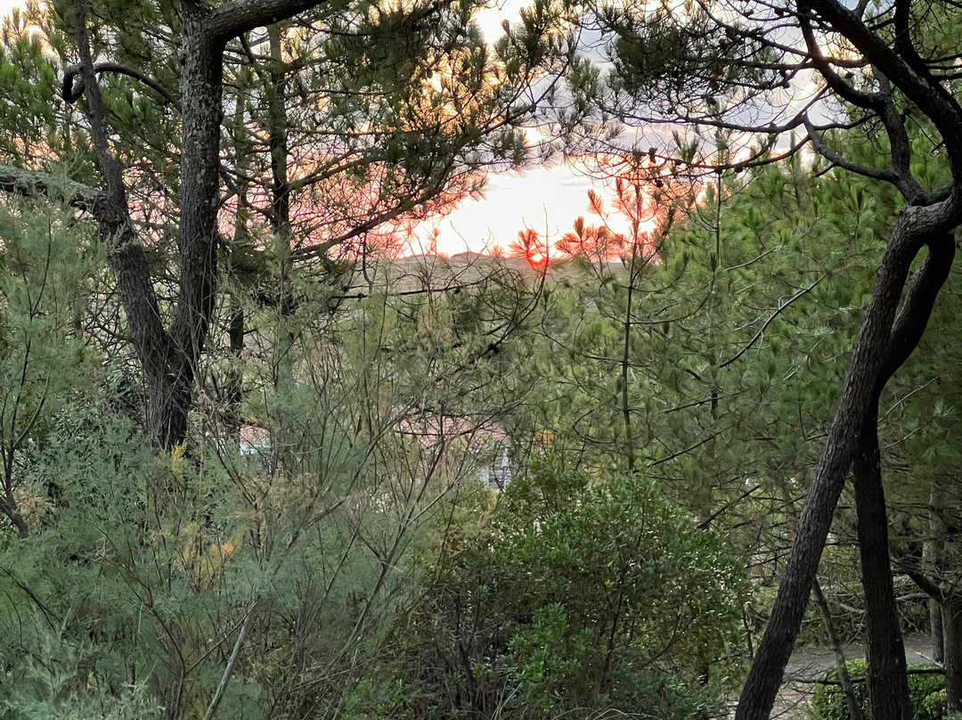 Belambra Clubs - Les Vignes主图