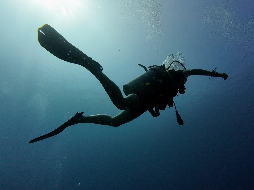 Gili Island Diving Center-Gili Air必去景点