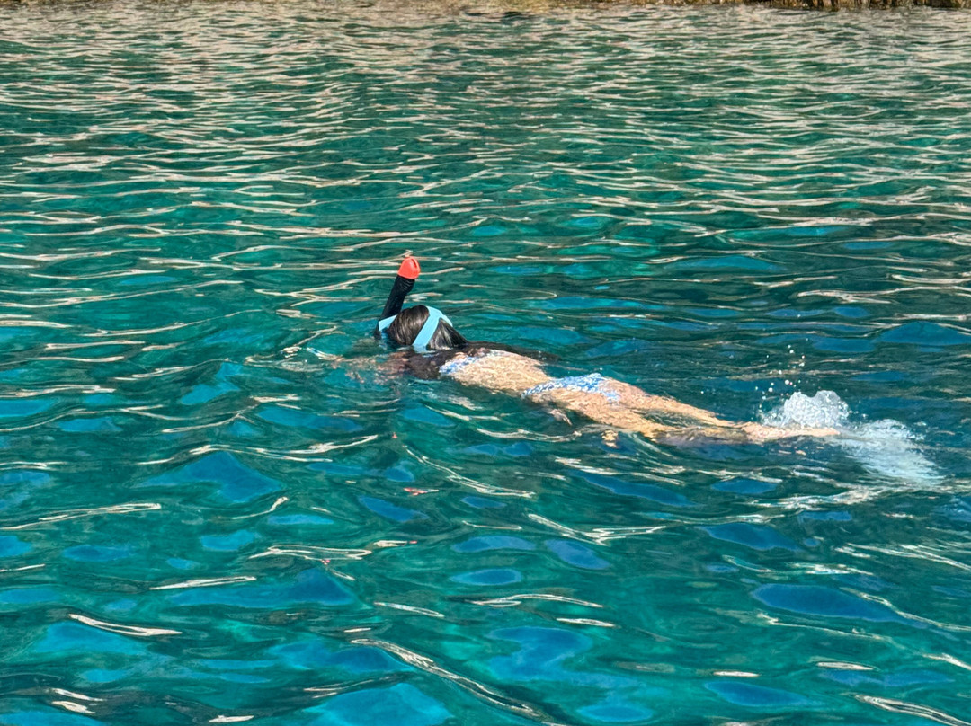 Absolut Charter-特罗吉尔必去景点