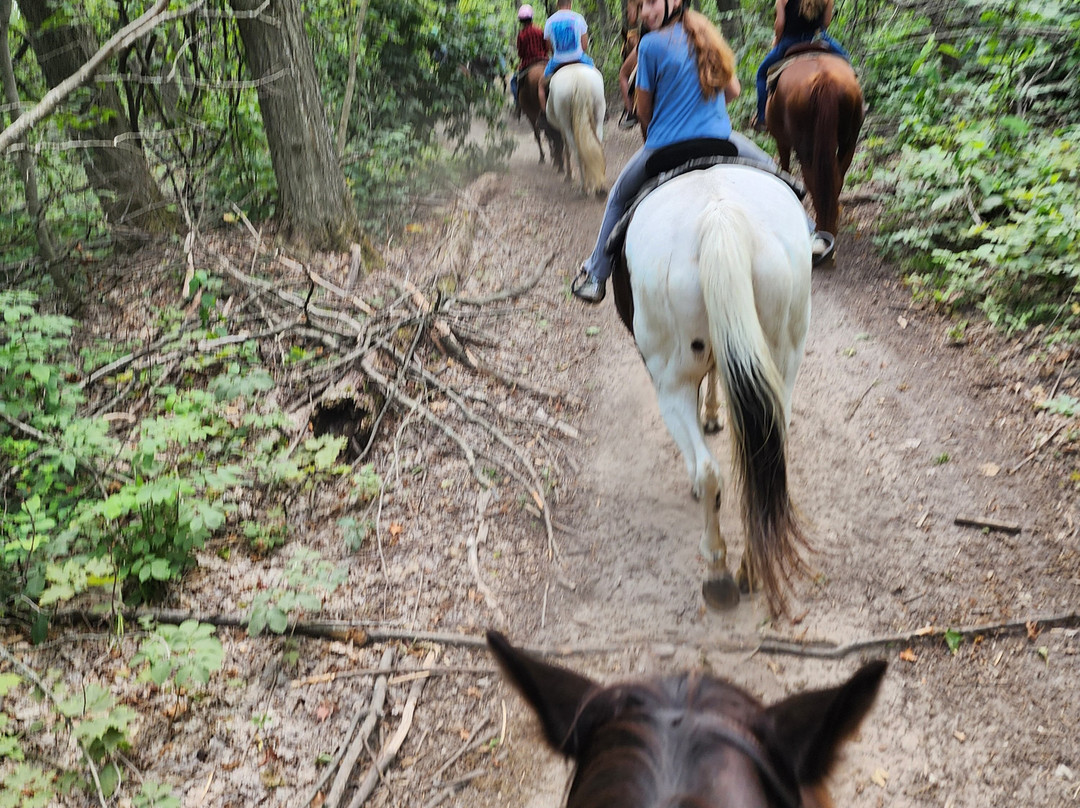 Maple Ridge Stables, LLC-Vanderbilt必去景点