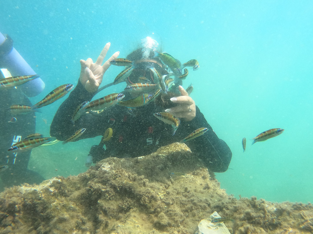 Moroccan Diving Center-Al Hoceima必去景点