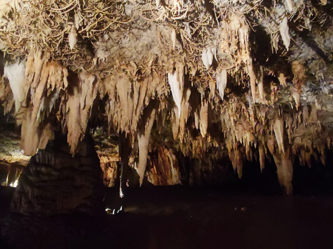 Cueva De Pozalagua-Valle de Carranza必去景点
