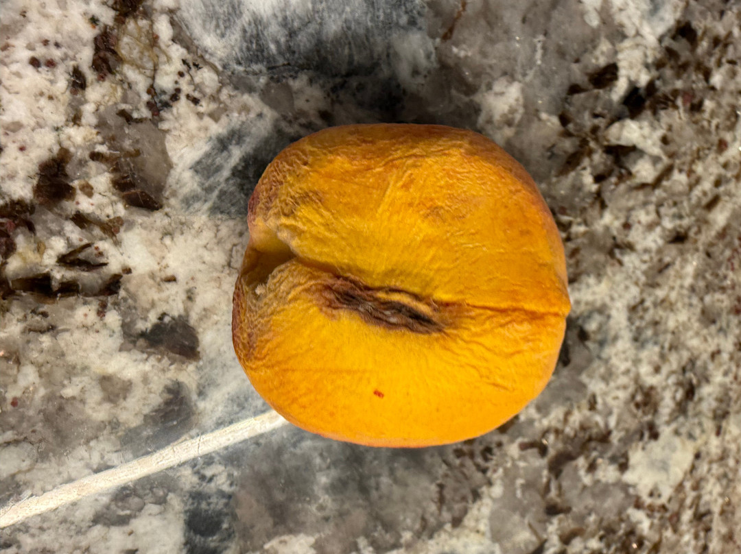 Dickey Farms-Musella必去景点