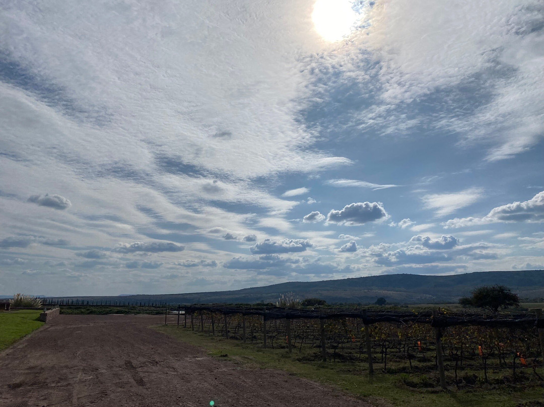 Tres Raíces-Dolores Hidalgo必去景点