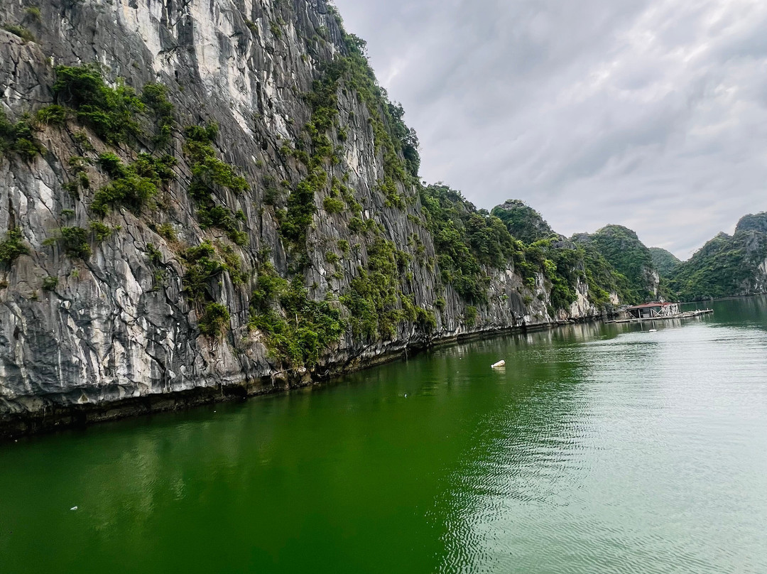 Cat Ba Green Trail Travel-Cat Ba Town必去景点