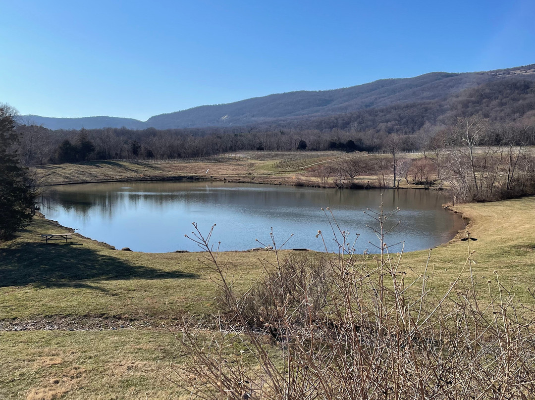 Pollak Vineyards-Greenwood必去景点