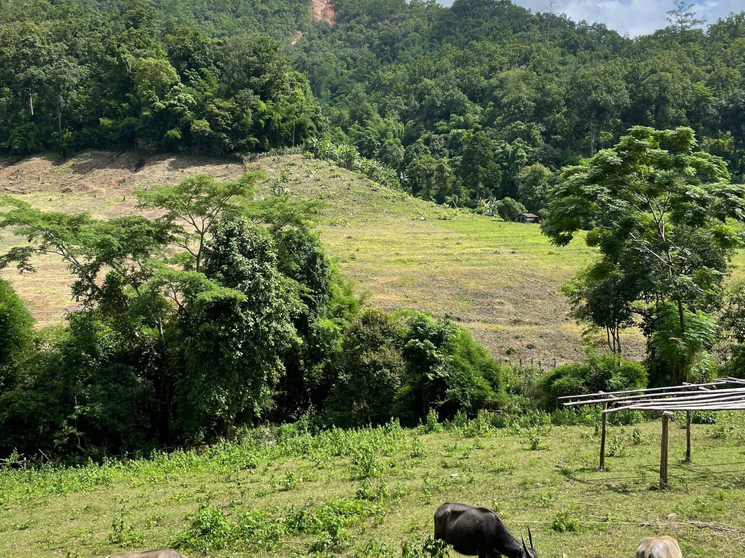 Trekking Collective Co - Private Day Tours-清迈必去景点