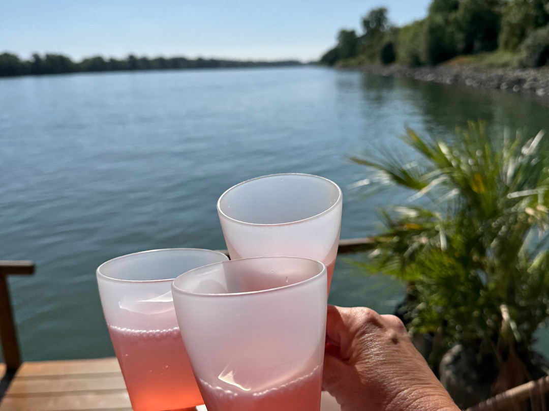 On Water-美因茨必去景点