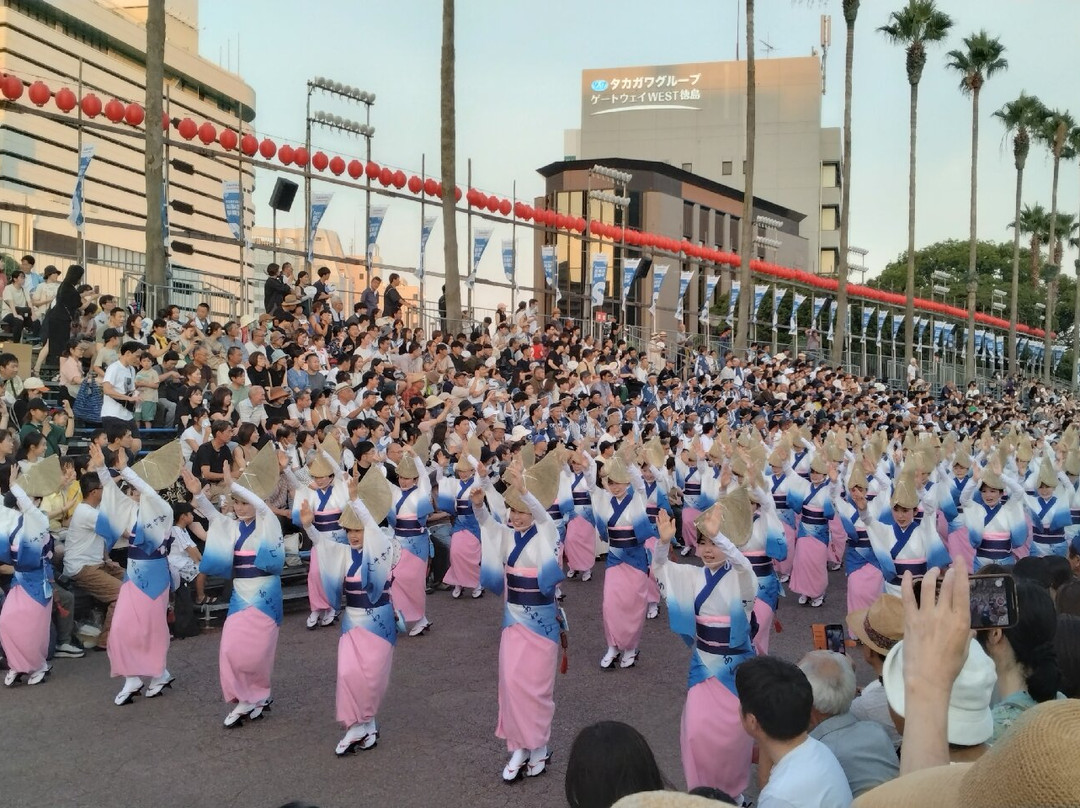 Awa Odori-德岛市必去景点