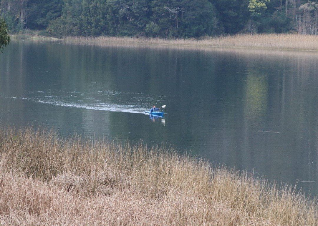 Rio Vivo-瓦尔迪维亚必去景点