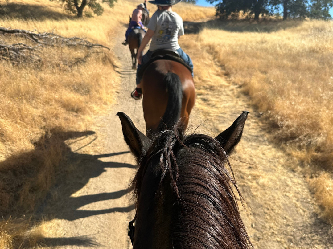 Boarding on the Lake-Granite Bay必去景点